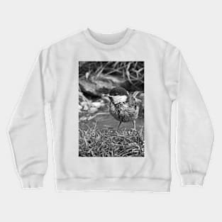 LE PANASONIC FZ 200 PAR OKAIO CRÉATION Crewneck Sweatshirt